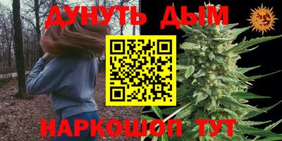 спайс Будённовск