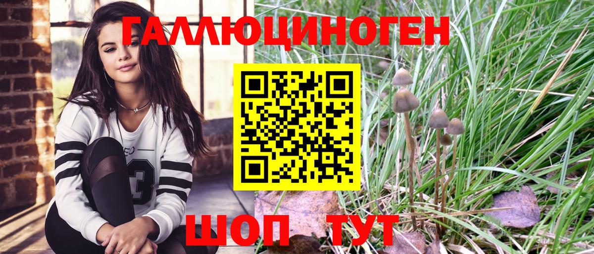 Псилоцибиновые грибы мицелий Сердобск